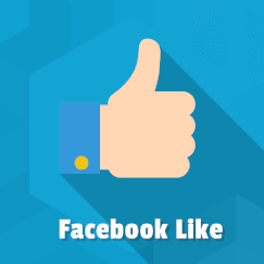 Facebook Like Button
